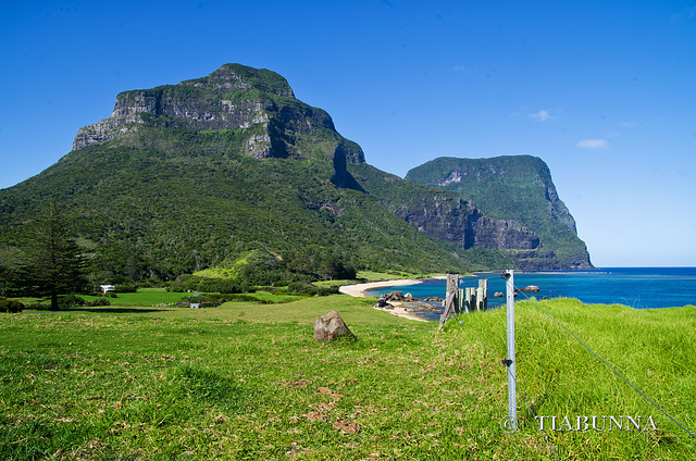 Lord Howe fence