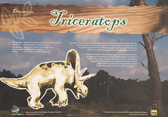 Kürbisschau Krewelshof - Triceratops DSC00780