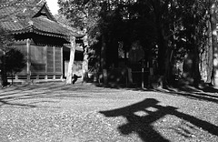 Shadow of torii