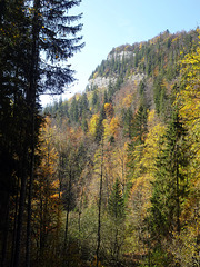Herbstwanderung im Jura bei Vallorbe
