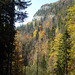 Herbstwanderung im Jura bei Vallorbe