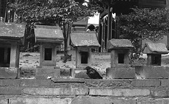 Stone shrines and a crow