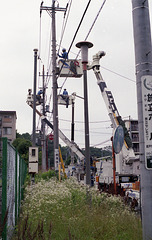 Taking care of power lines