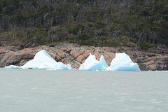Icebergs on the Lake of Argentino