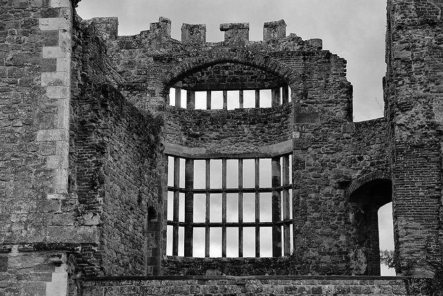 Tudor windows