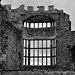 Tudor windows