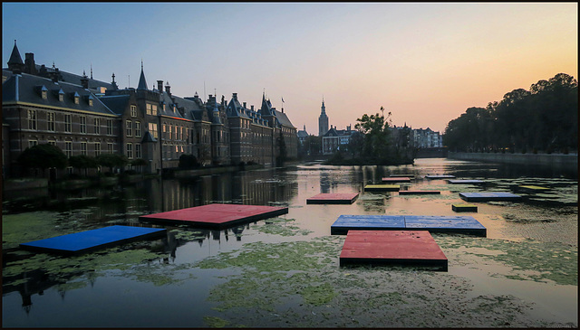 the pond of Binnenhof (pip)