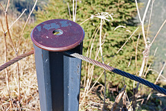 Drahtzaun - Wire Fence (1) (PiP)