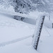 Frostige Grüße aus dem Schwarzwald im Winter