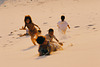 Les enfants des dunes (1)