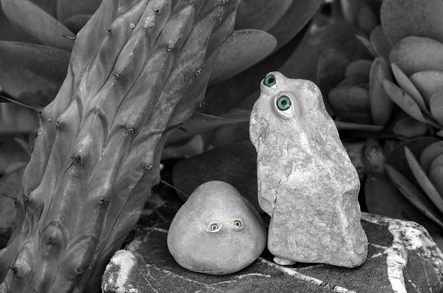 Saturday Self-Challenge, Selective Color, Stone-souls caring for my garden...
