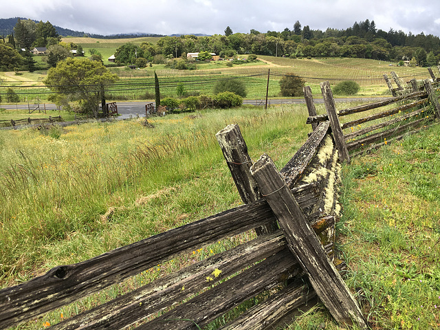 Wine Country Fence