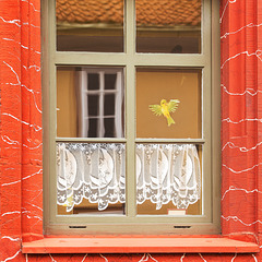 window window