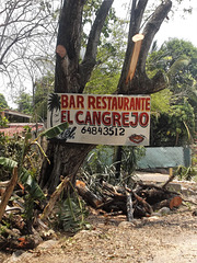 Bar Restaurant El Cangrejo