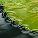 The edge of a Lily pad