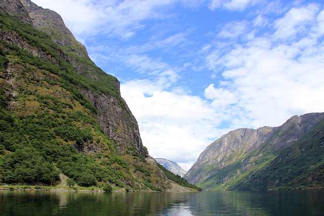 Nærøyfjorden in summer