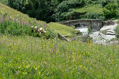 Blumenwiese und Pont de la Lama (Brücke) über den Fluss Arc