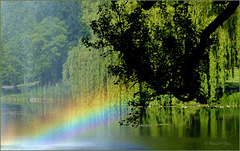 #29 Rainbow over the Lake...