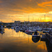 Scarborough Harbour at sunset
