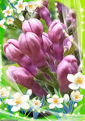 Composition florale avec du lilas du jardin
