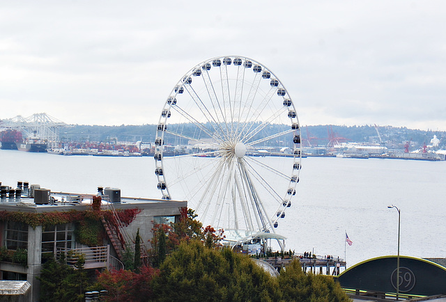 Seattle Eye