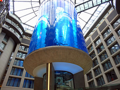Radisson Blu hotel Berlin