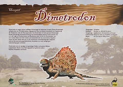 Kürbisschau Krewelshof - Dimetrodon DSC00761