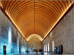 Avignon : la grande sala del Conclave