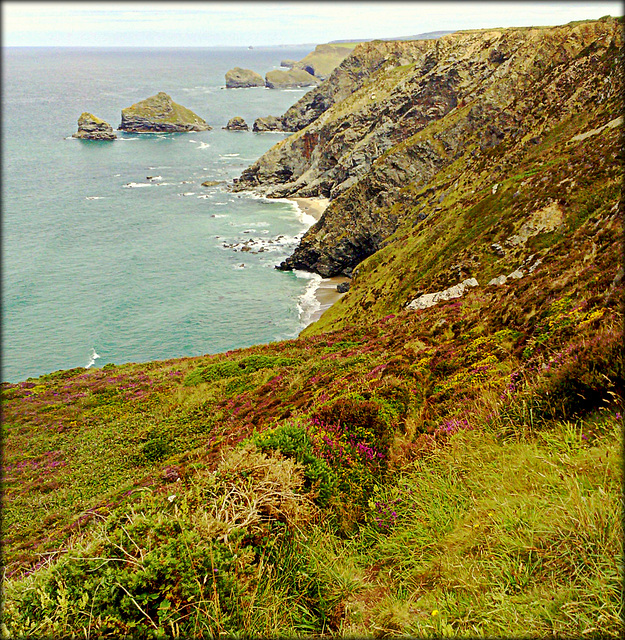 High tide, Greenbank Cove