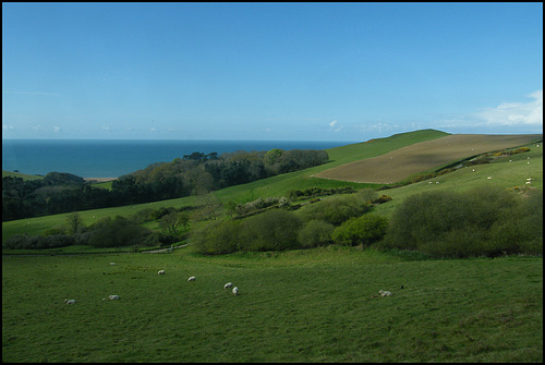 Dorset green landscape