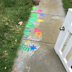 Pandemic chalk: Garden 2