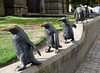 HWW from the Dundee Penguins.