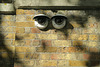 IMG 8538-001-Eyes on Whitehall