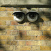 IMG 8538-001-Eyes on Whitehall