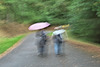 Wanderung mit rosa Schirm