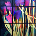IMG 0753-001-Stained Glass 10
