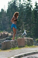 Old Gull, Young Gurl (3 of 3)
