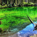Lakes - the green lake -