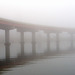 Casco Bay Bridge in fog