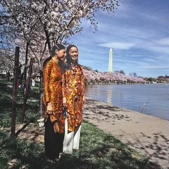 Cherry time in Washington  in  April 1978