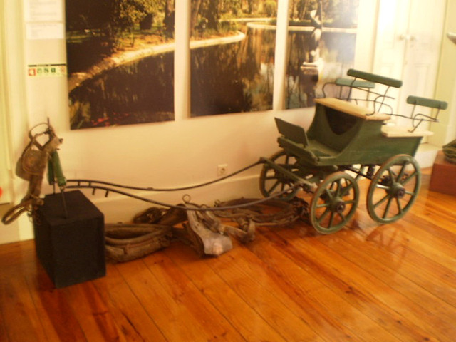 Recreational buggy (late 19th century).