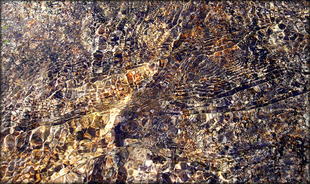 Mountain stream. Sierra de La Cabrera (please enlarge).