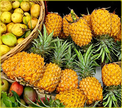 MAURICE ISLAND : Ananas - mango - fruit de la passion - un tris di frutti speciali
