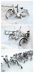 winter bikes
