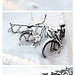 winter bikes
