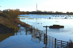 Fences in Flooded Field