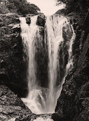 Piroa Falls Waipu