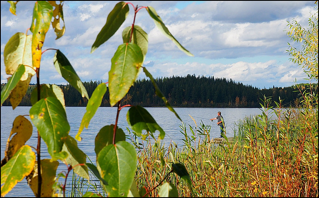 10 Mile Lake near Quesnel, BC