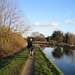 Trent and Mersey Canal near Handsacre