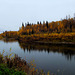 Autumn along the Chena river